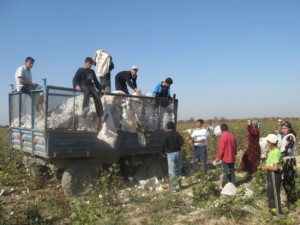 Uzbek citizens are not properly compensated for their work on the cotton fields.