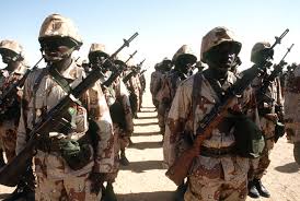 niger troops