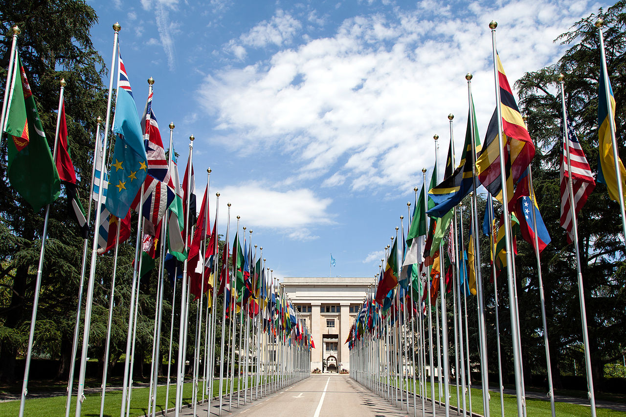 1280px-United_Nations_Flags_-_cropped