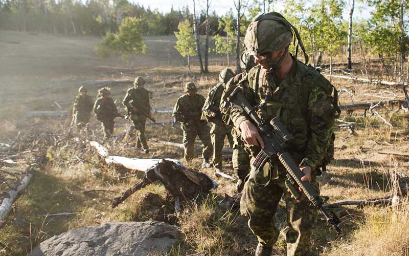 Canadian Army Reserve 