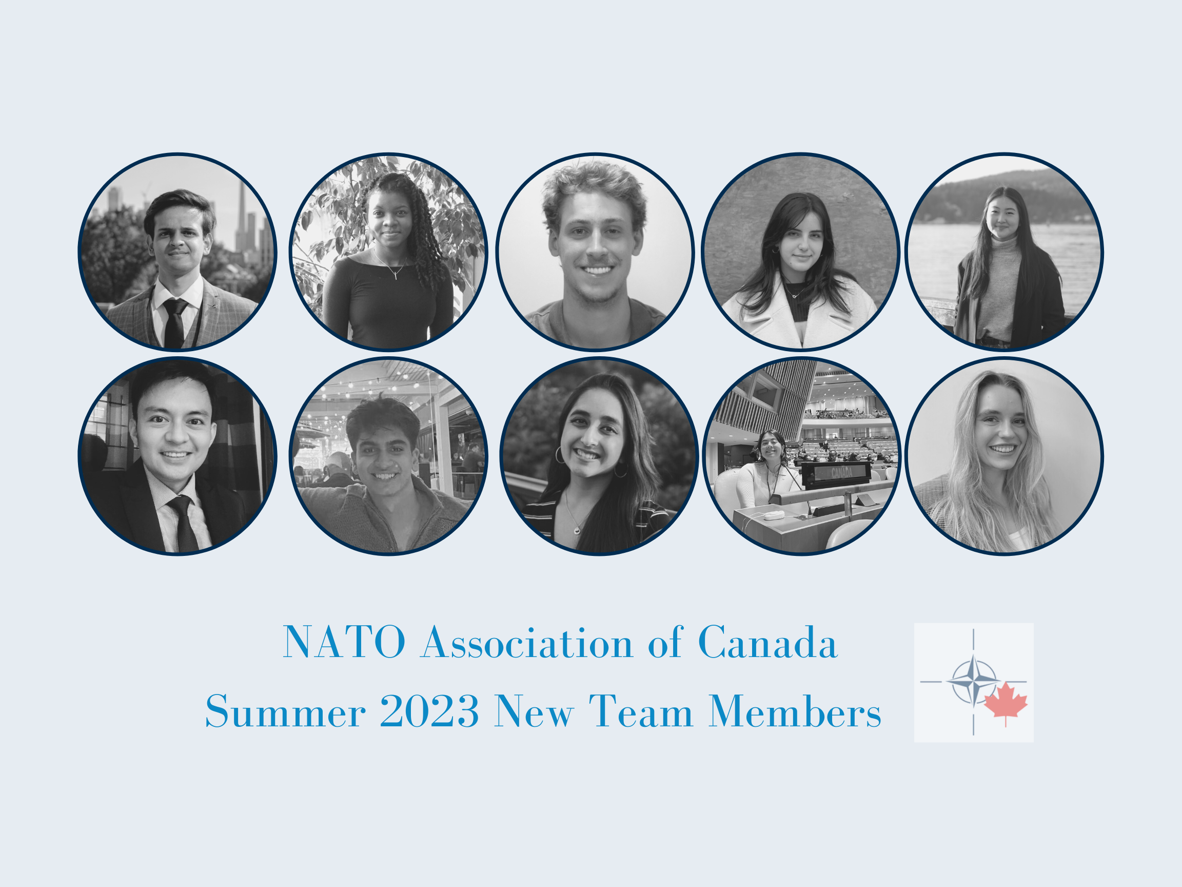 Meet the Team